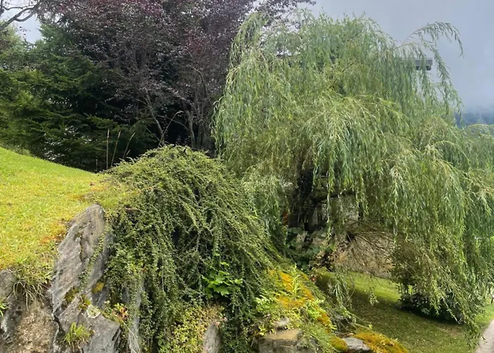 Apartmán 1 Personne Heidi5 *